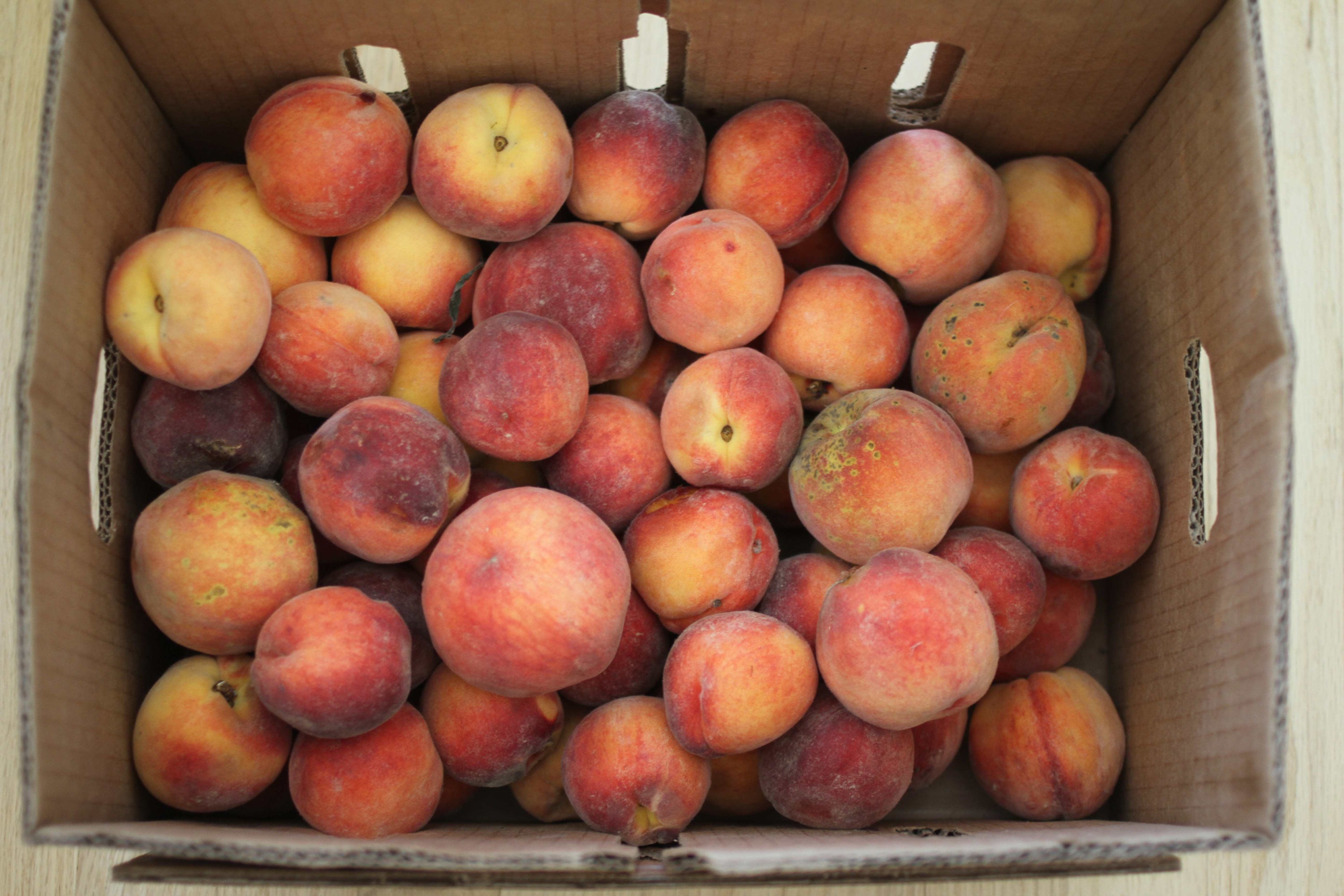 Cardboard box of ripe peaches with red-orange fuzzy skins