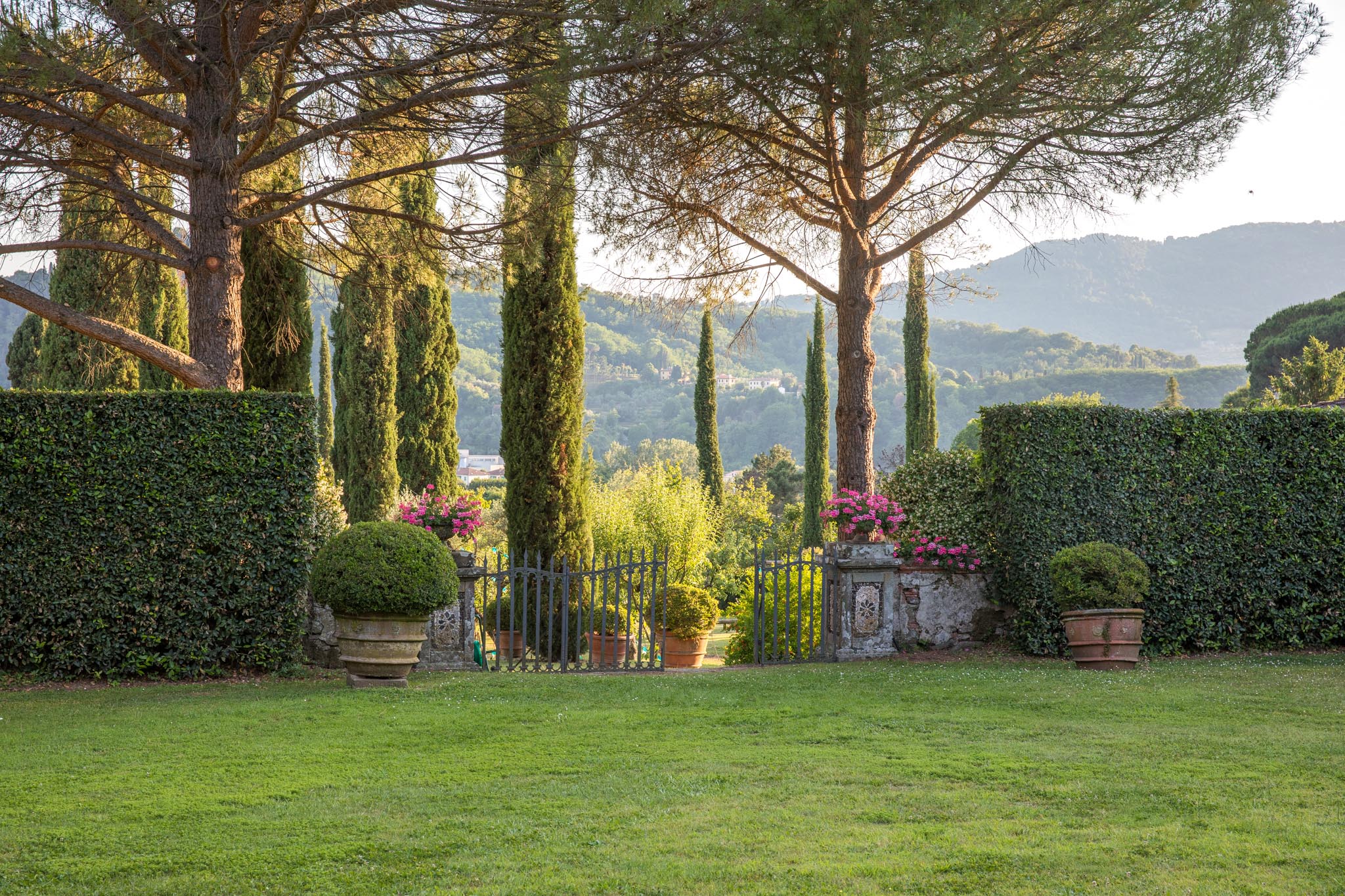 Walled Italian garden with trimmed hedges, cypress trees, terracotta urns and an iron gate opening to hills