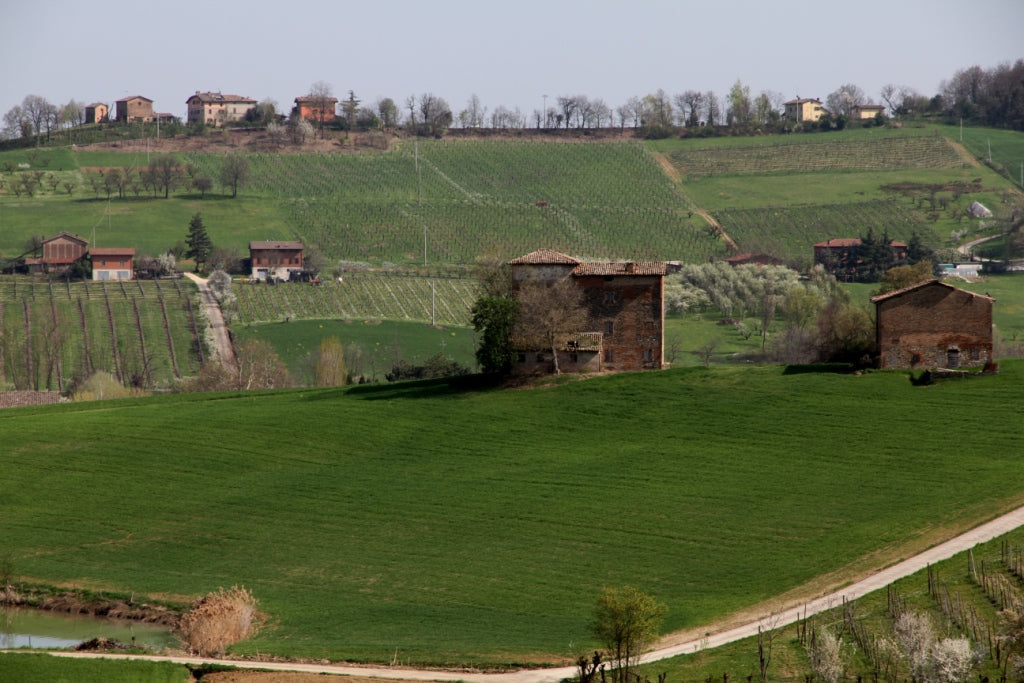 Rolling green Italian hills with vineyards and two rustic farmhouses beneath a pale sky