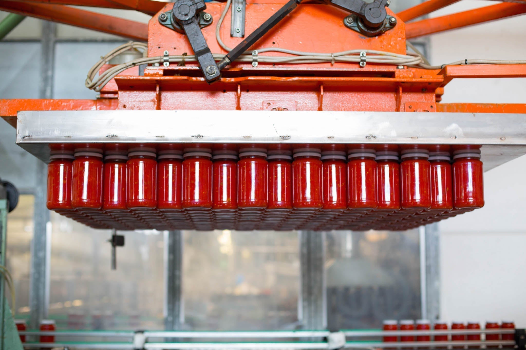 Mechanical gripper lifting multiple sealed red sauce jars from a conveyor in a food-processing plant.