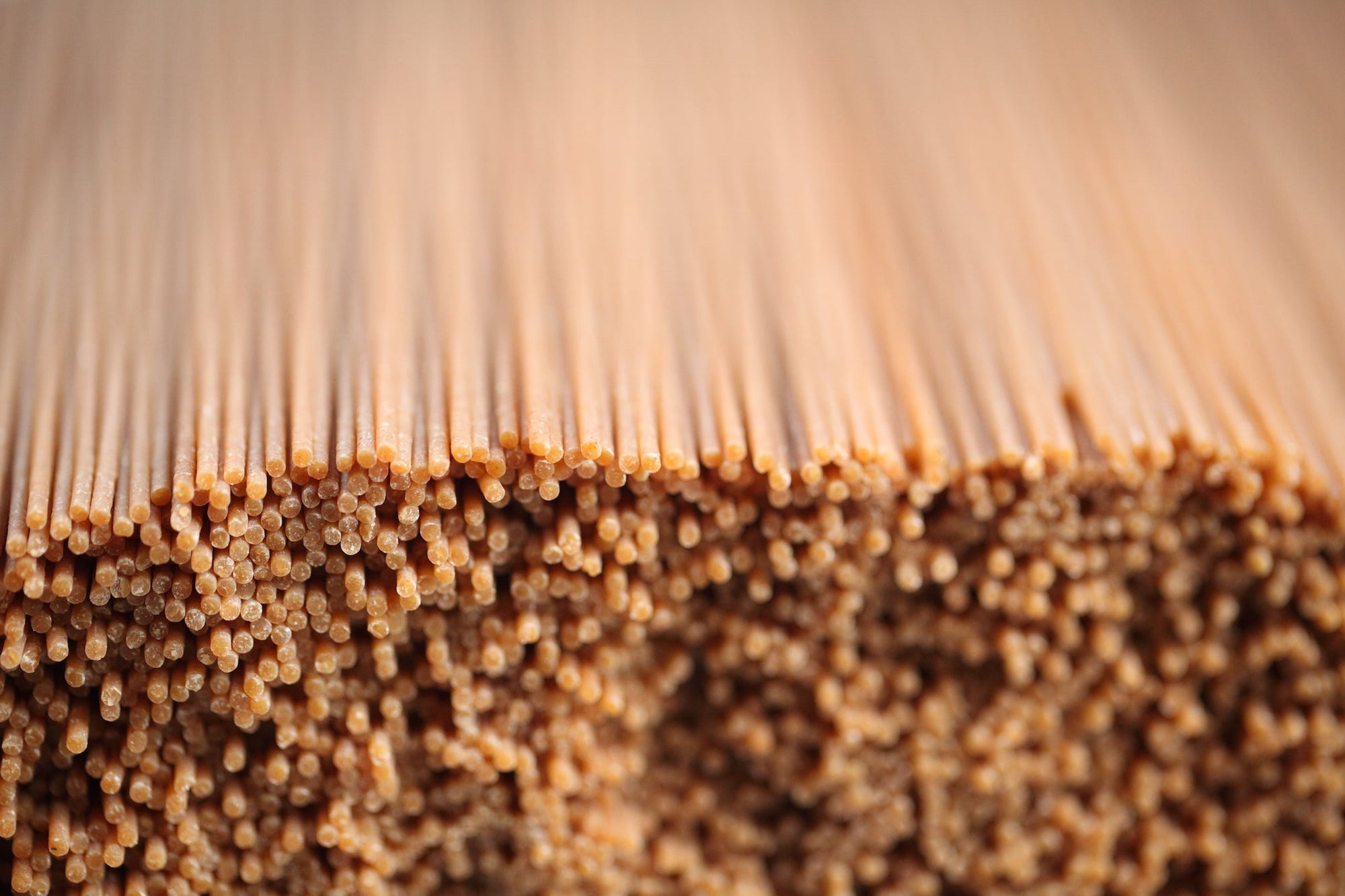 Close-up of bundled einkorn whole-grain spaghetti ends showing textured brown strands.