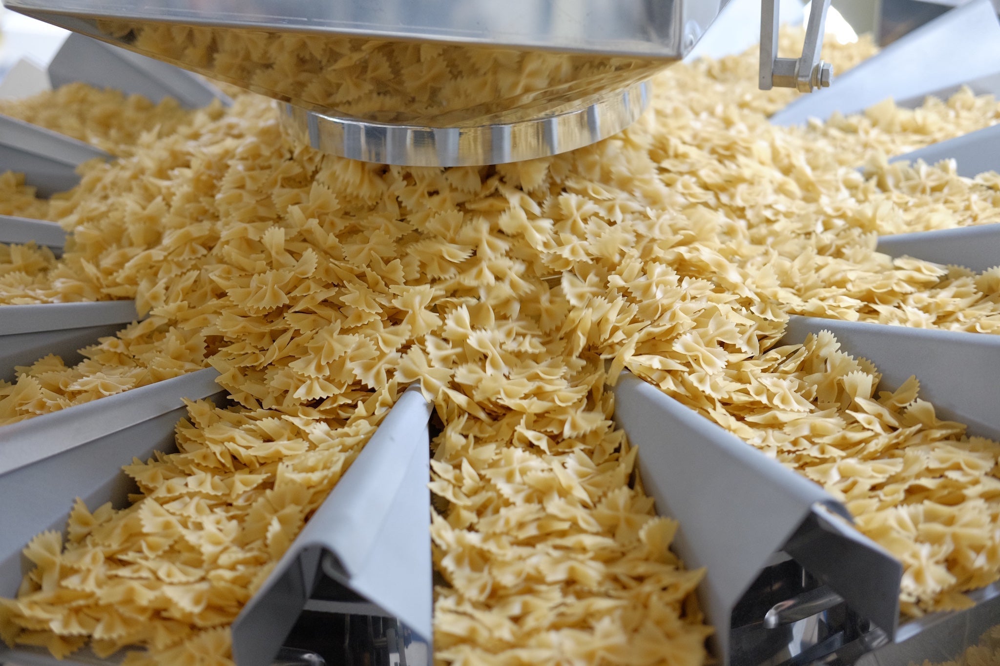Multi-channel sorter dispensing farfalle (bow-tie) pasta on a production conveyor