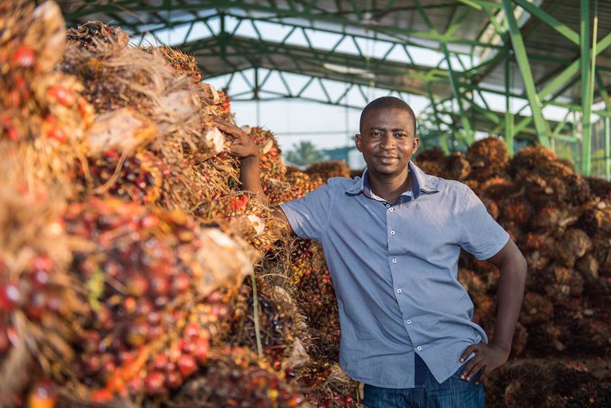Man standing beside stacked oil palm fruit bunches in a covered processing shed.