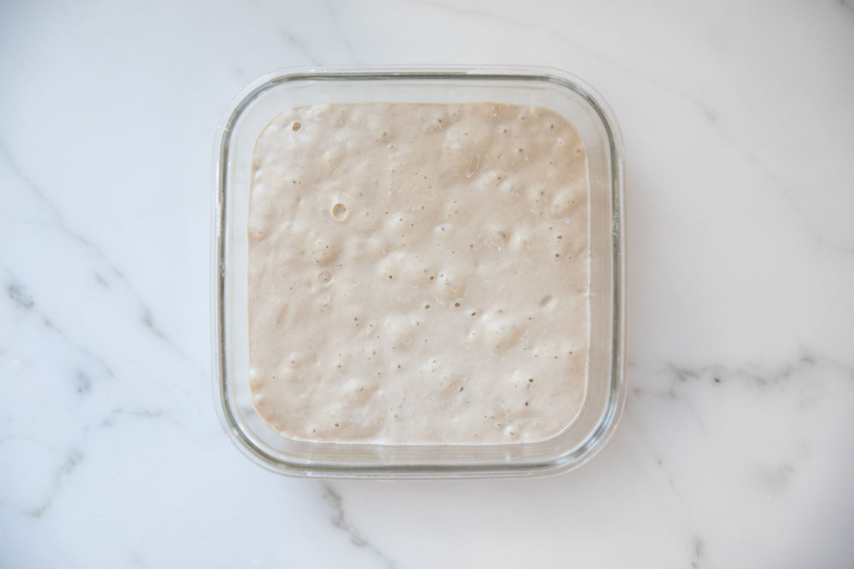 Bubbly sourdough starter in a square glass container on a marble countertop