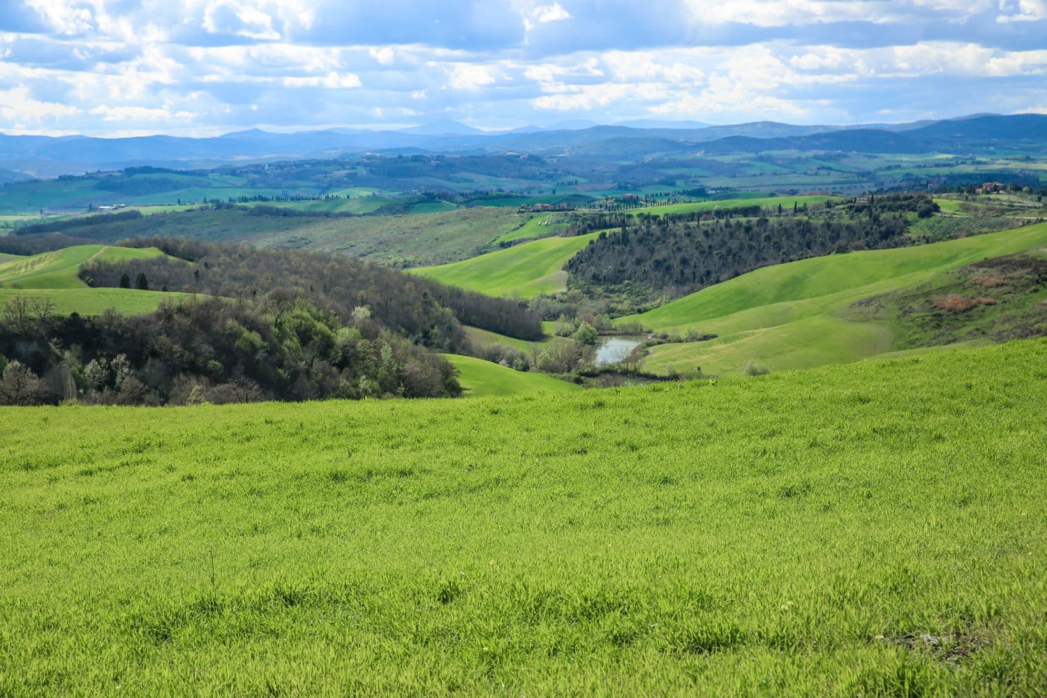 Rolling green hills and valleys under a cloudy sky, distant farmhouses and a small pond