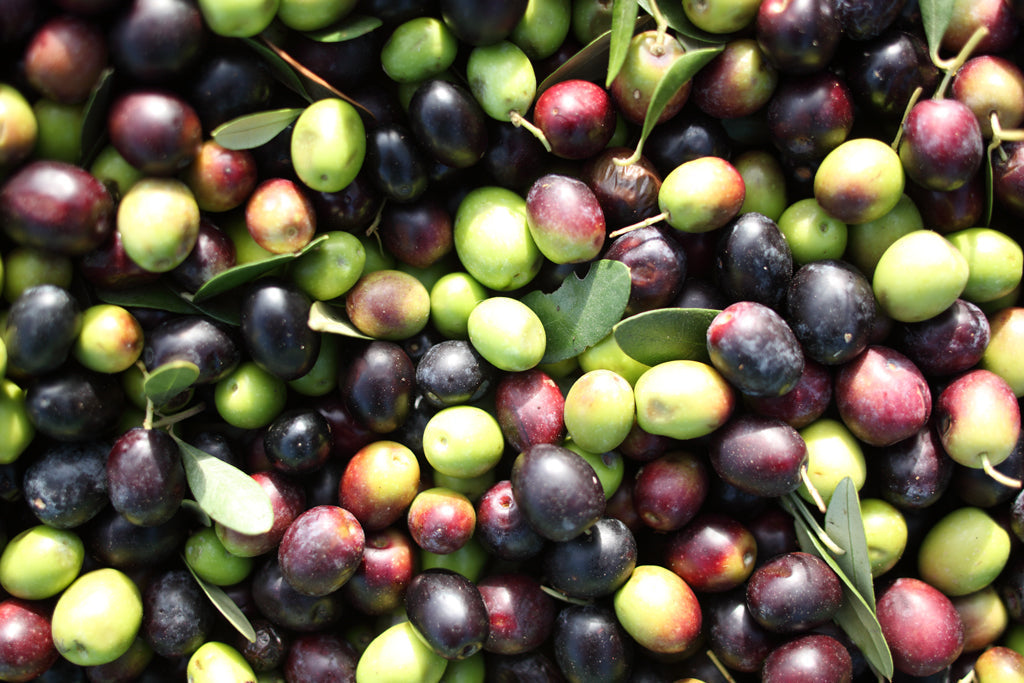 Mixed green, purple, and black olives with a few olive leaves