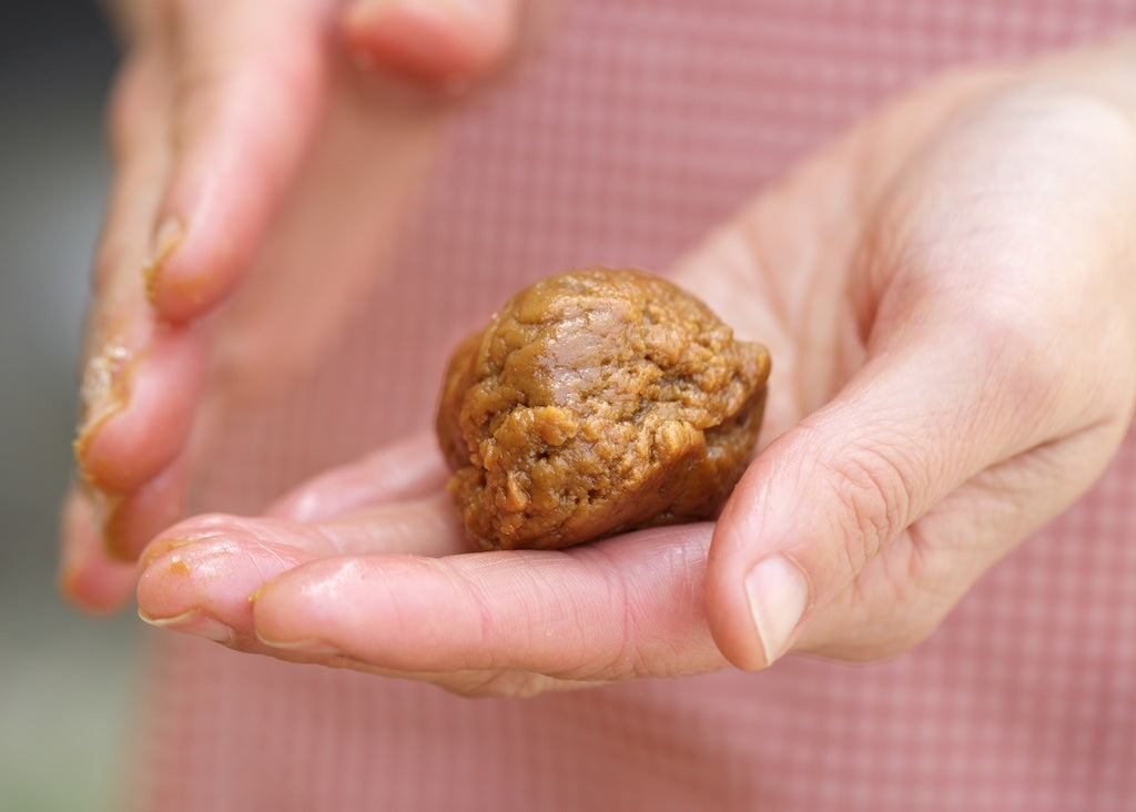 Hands shaping a ball of einkorn ginger cookie dough against a blurred pink gingham apron