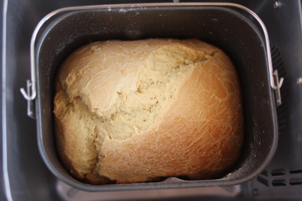 Freshly baked einkorn loaf inside a bread machine pan