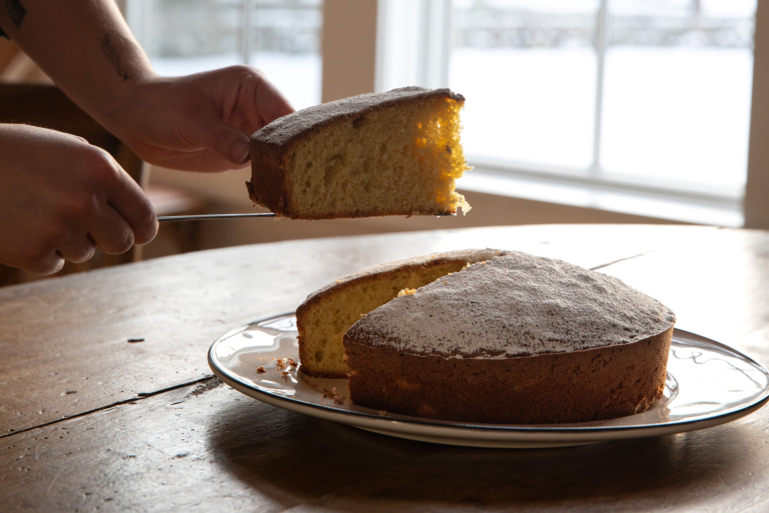 Slice of Einkorn lemon olive oil cake being lifted from a plate by hands in front of a window, dusted with powdered sugar