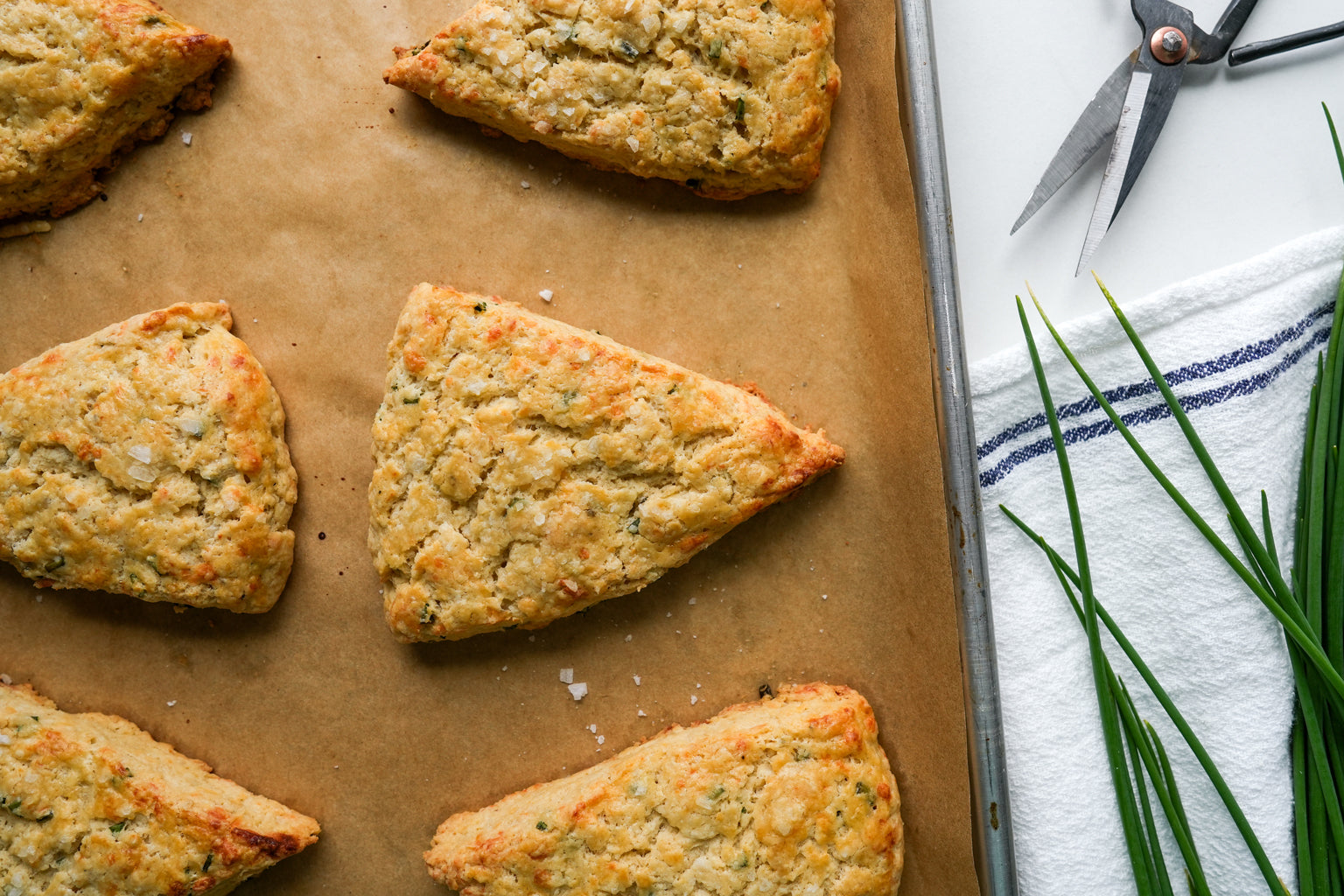 Freshly baked cheddar and chive Einkorn scones on a parchment-lined baking sheet with fresh chives and kitchen scissors