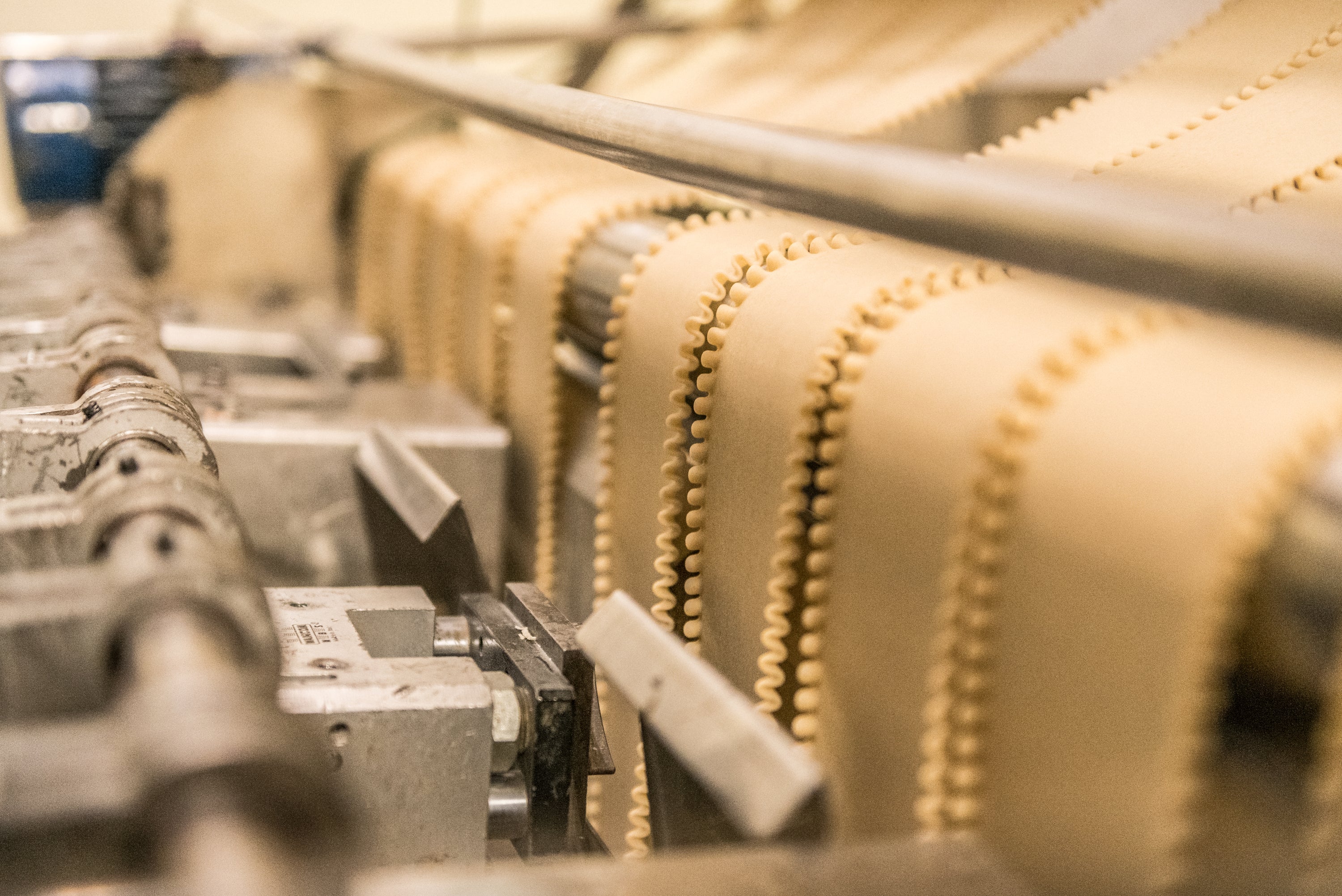 Artisan pasta sheets being cut and conveyed on a pasta-making machine in a traditional Italian pasta manufacturing line