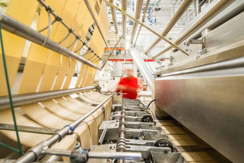 Conveyor of fresh pasta sheets on an industrial pasta production line in an artisan factory with a blurred worker