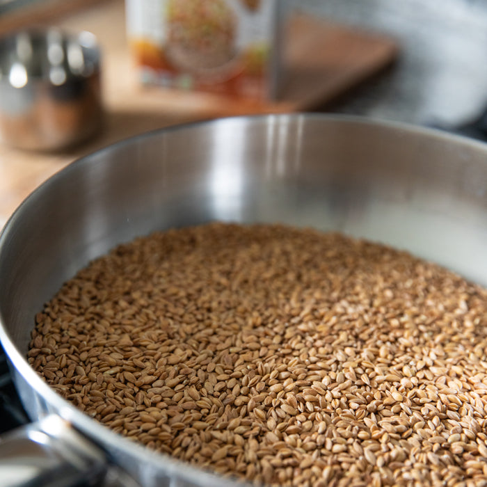 Close-up of stainless steel pan filled with organic Einkorn wheat berries on a stovetop with blurred kitchen background