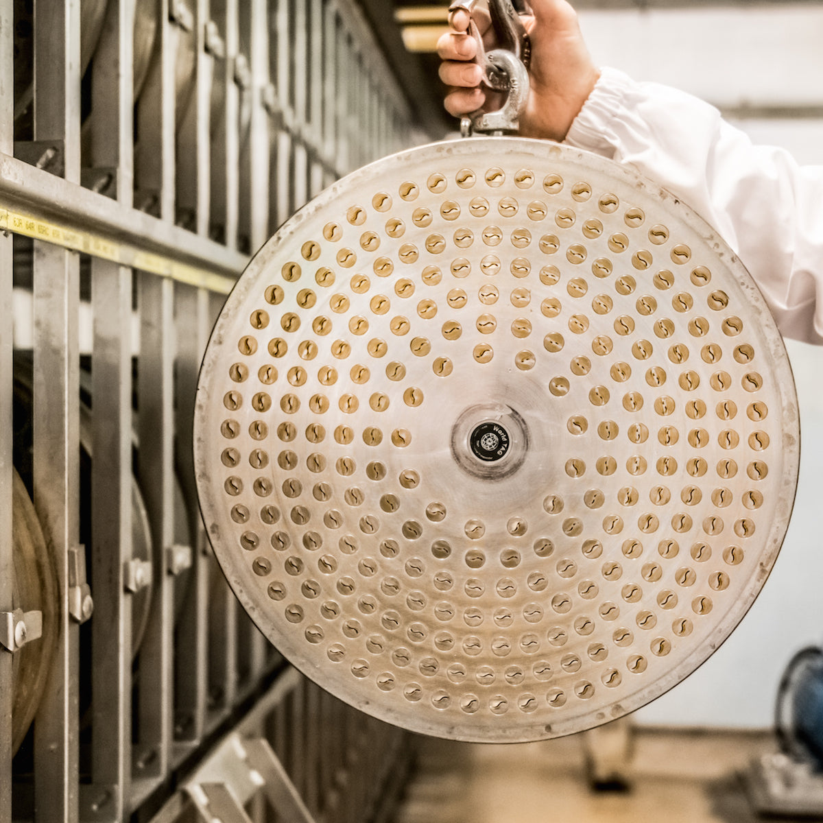 Worker holding round stainless-steel pasta extruder die plate with many holes in an artisan pasta manufacturing facility