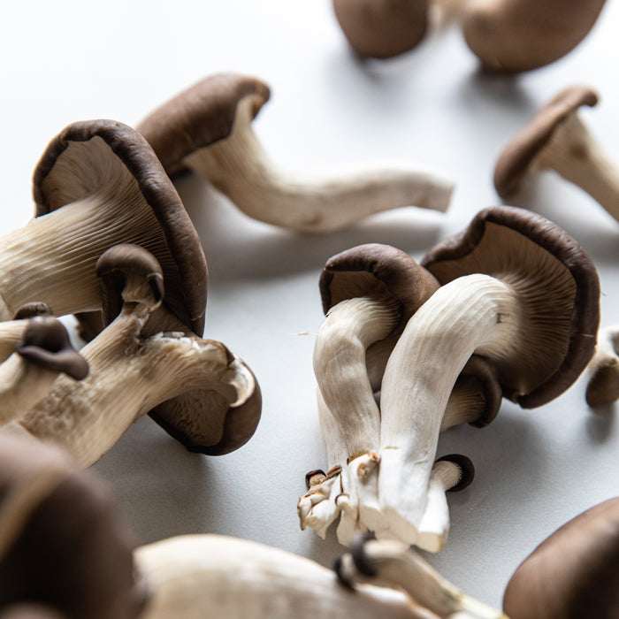 Close-up of clustered brown mushrooms showcasing curved stems and rounded caps on a white surface