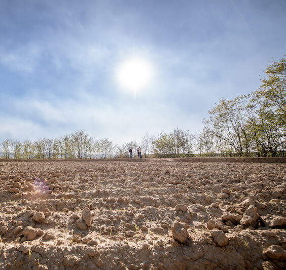 Two people inspecting a freshly tilled brown rice field under a bright sun with trees on the horizon
