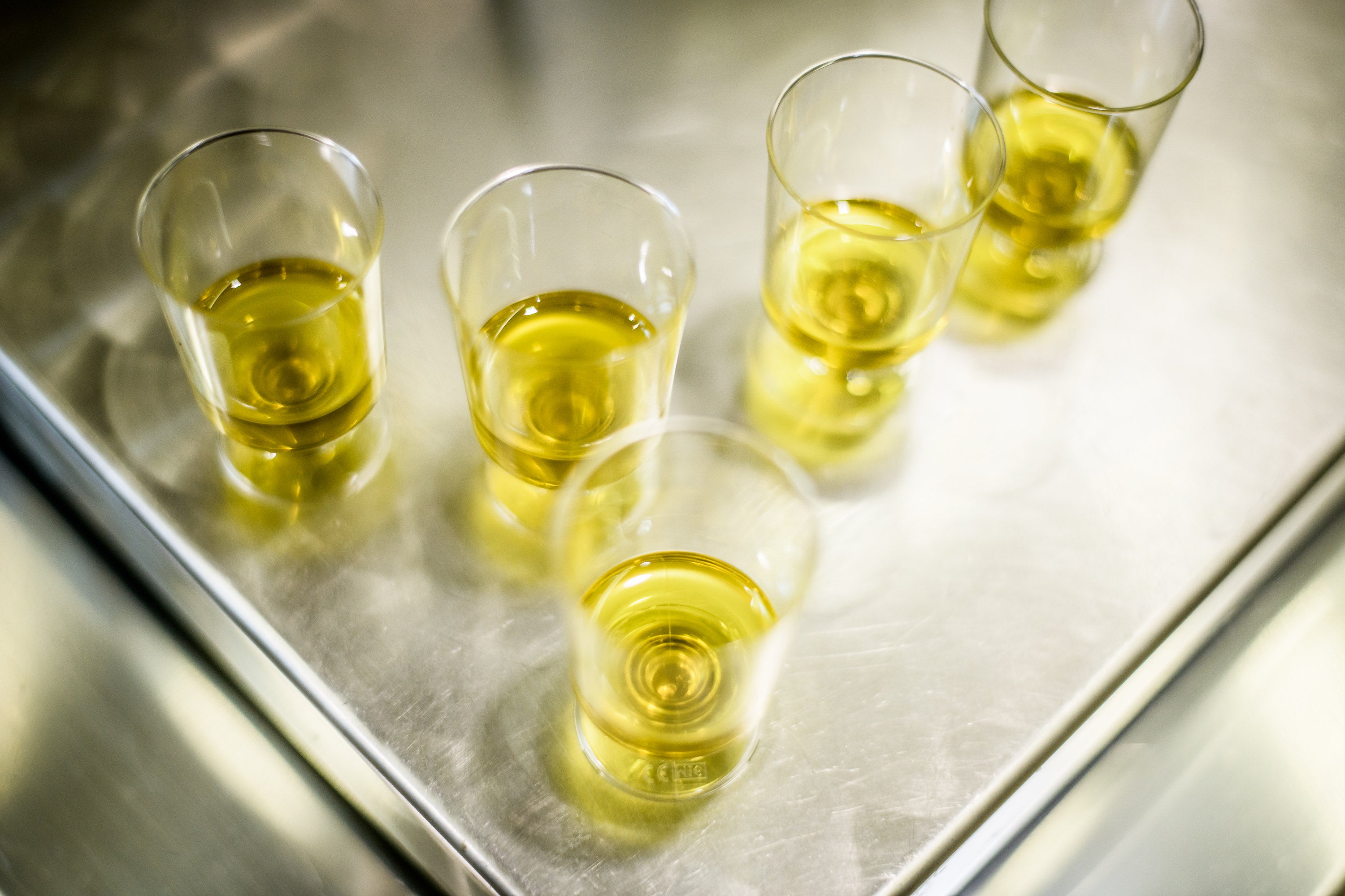 Five small tasting cups of golden olive oil on a stainless steel tray during a production quality tasting