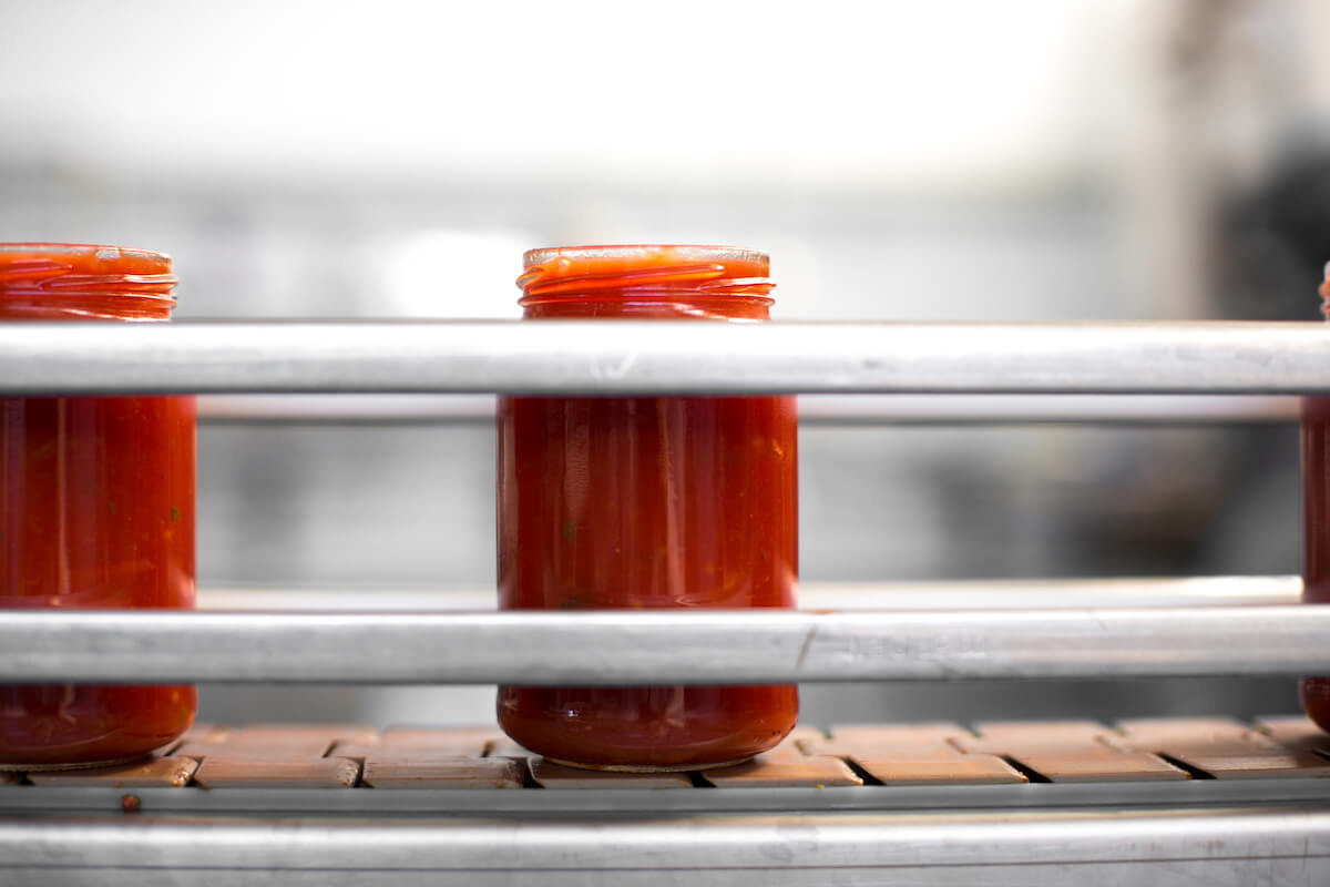 Glass jars of organic tomato sauce moving along a conveyor belt in a production facility
