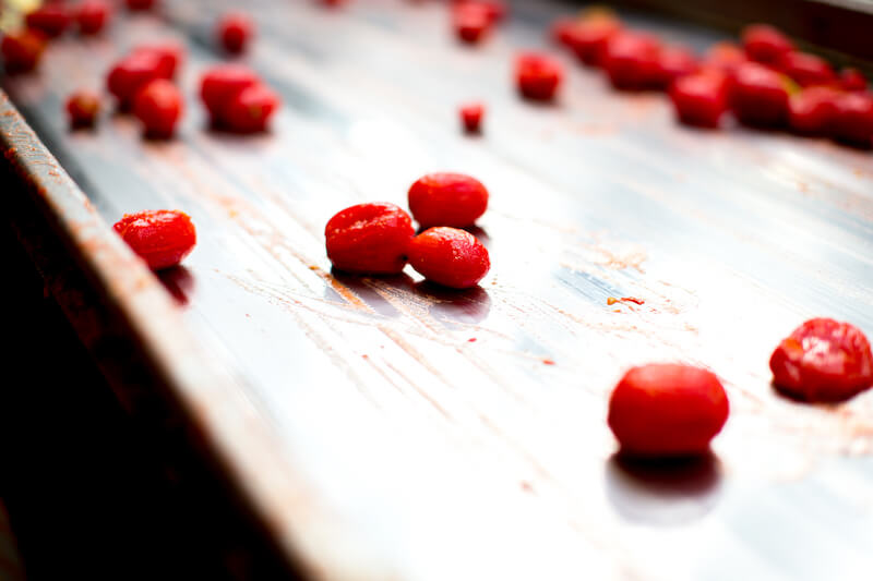 Organic tomatoes being sorted on a stainless-steel conveyor in an Italian processing facility
