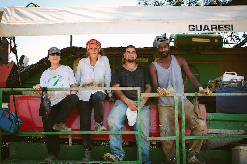 Four organic tomato farm workers resting on a harvester during harvest, wearing work clothes and smiling