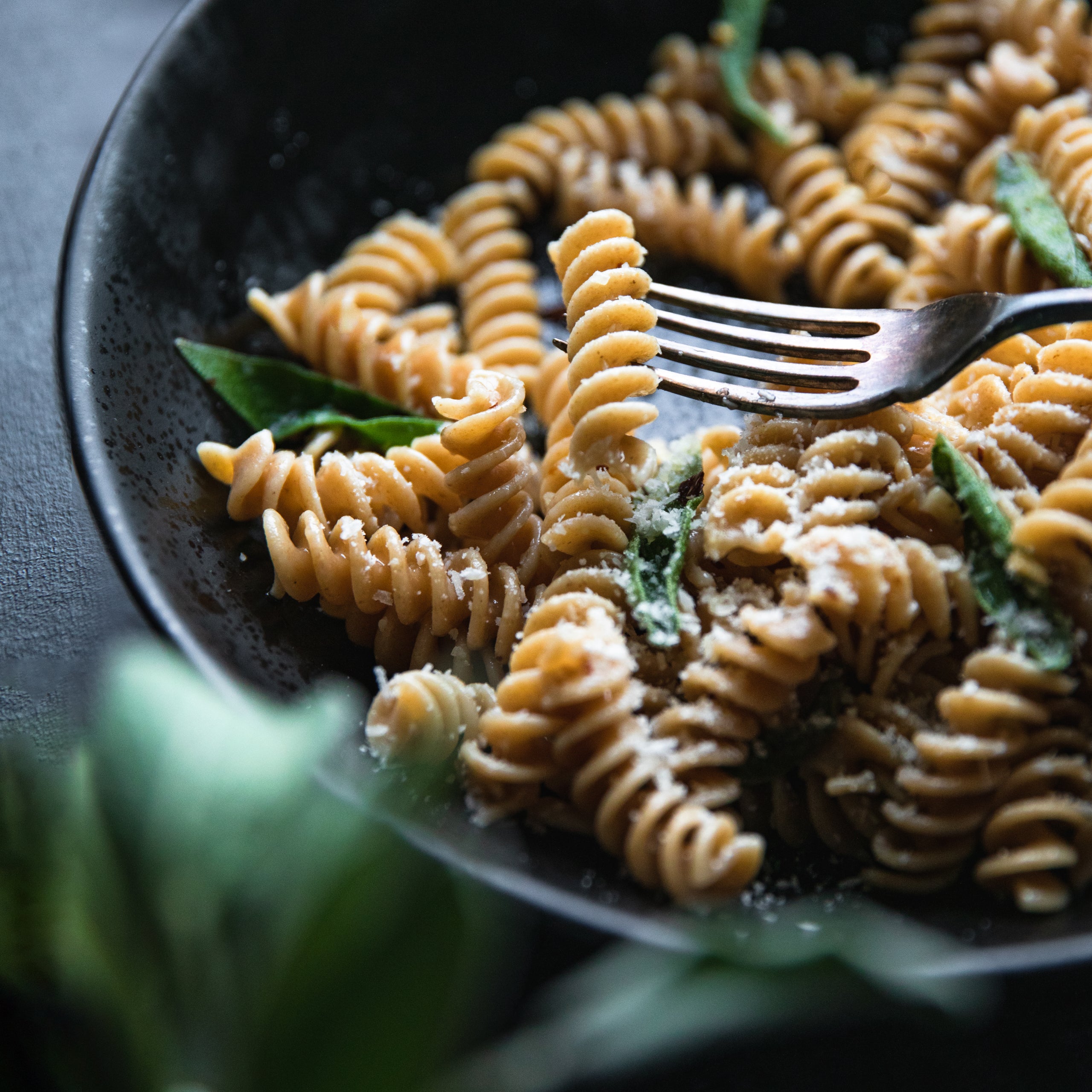 Cooked organic Einkorn whole wheat fusilli twirled on a fork over a dark plate with grated cheese and basil