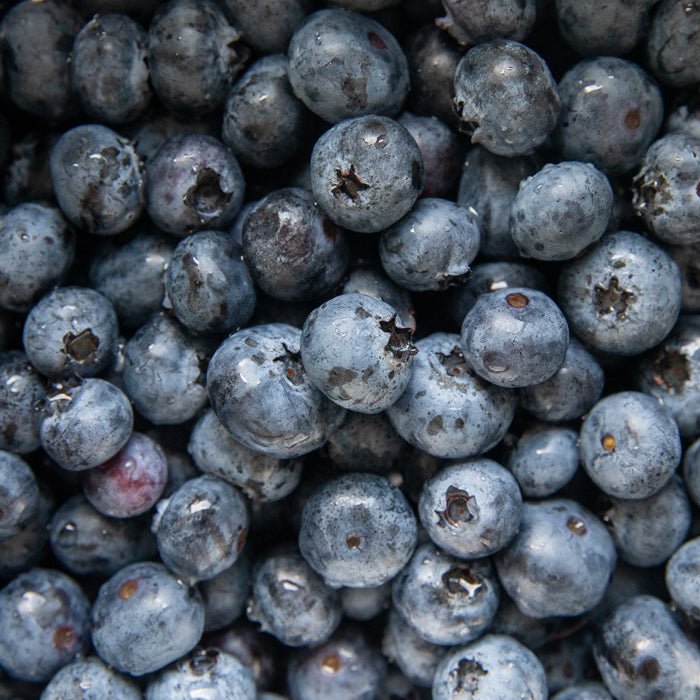 Close-up of fresh blueberries showcasing dewdrops and textured skins in a tight cluster