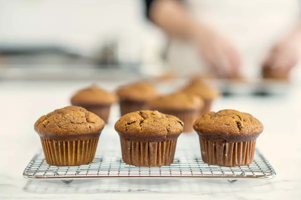 Three Einkorn pumpkin chocolate chip muffins on a cooling rack, golden domes, blurred kitchen background