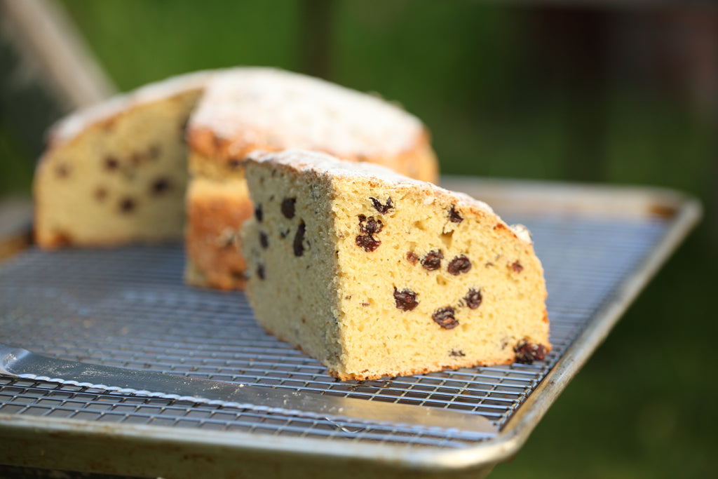 Three-quarter view of Einkorn Irish soda bread slice showcasing raisins and dense crumb on a cooling rack outdoors
