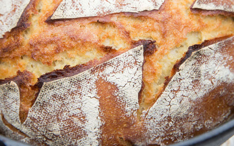 Crusty einkorn artisan sourdough loaf with cracked, flour-dusted crust and golden interior.