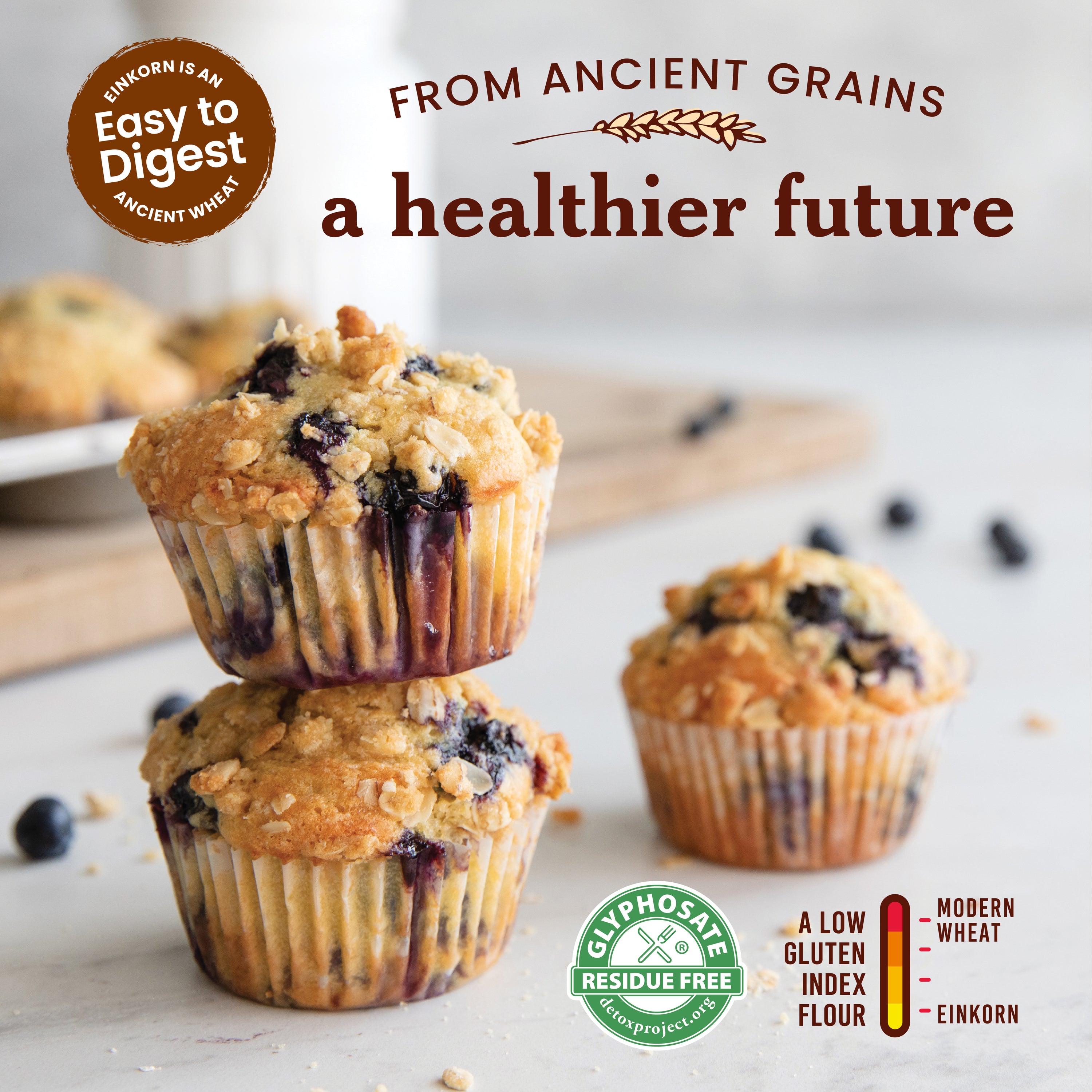 Blueberry einkorn muffins with headline From Ancient Grains a healthier future and Glyphosate residue free badge