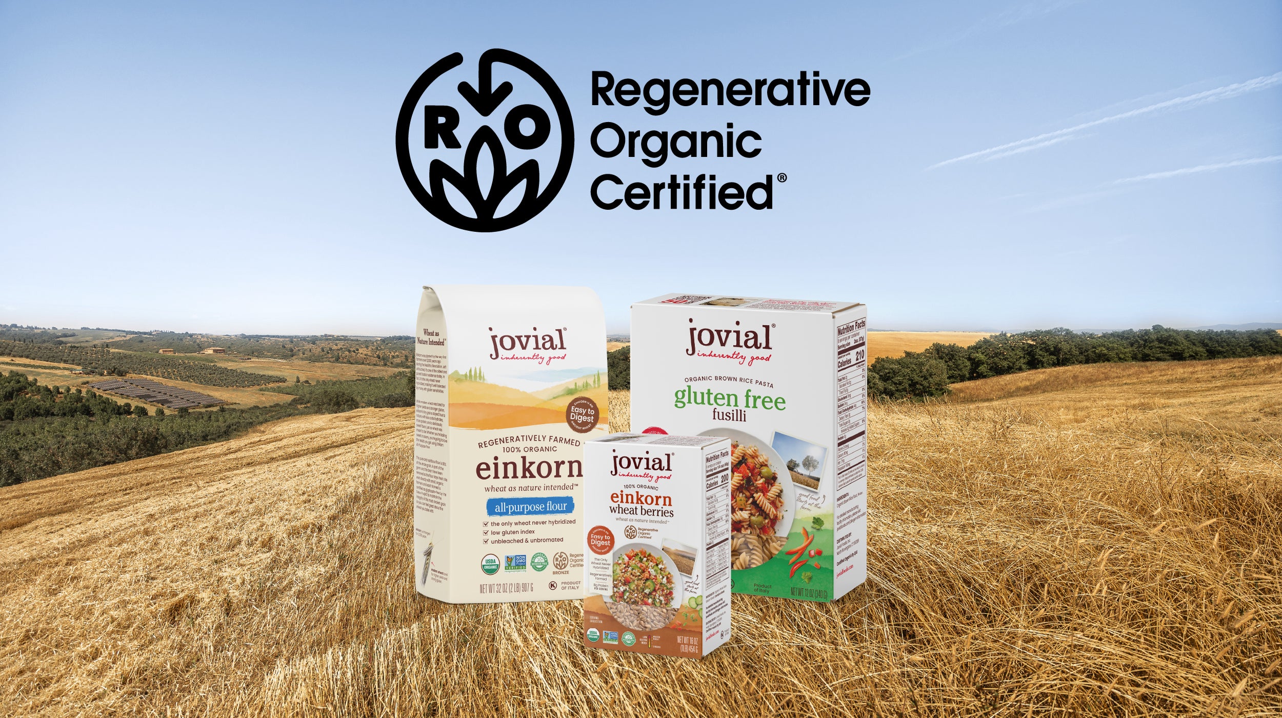 Front view of Jovial einkorn flour, einkorn berries, and gluten-free fusilli boxes in front of a harvested wheat field