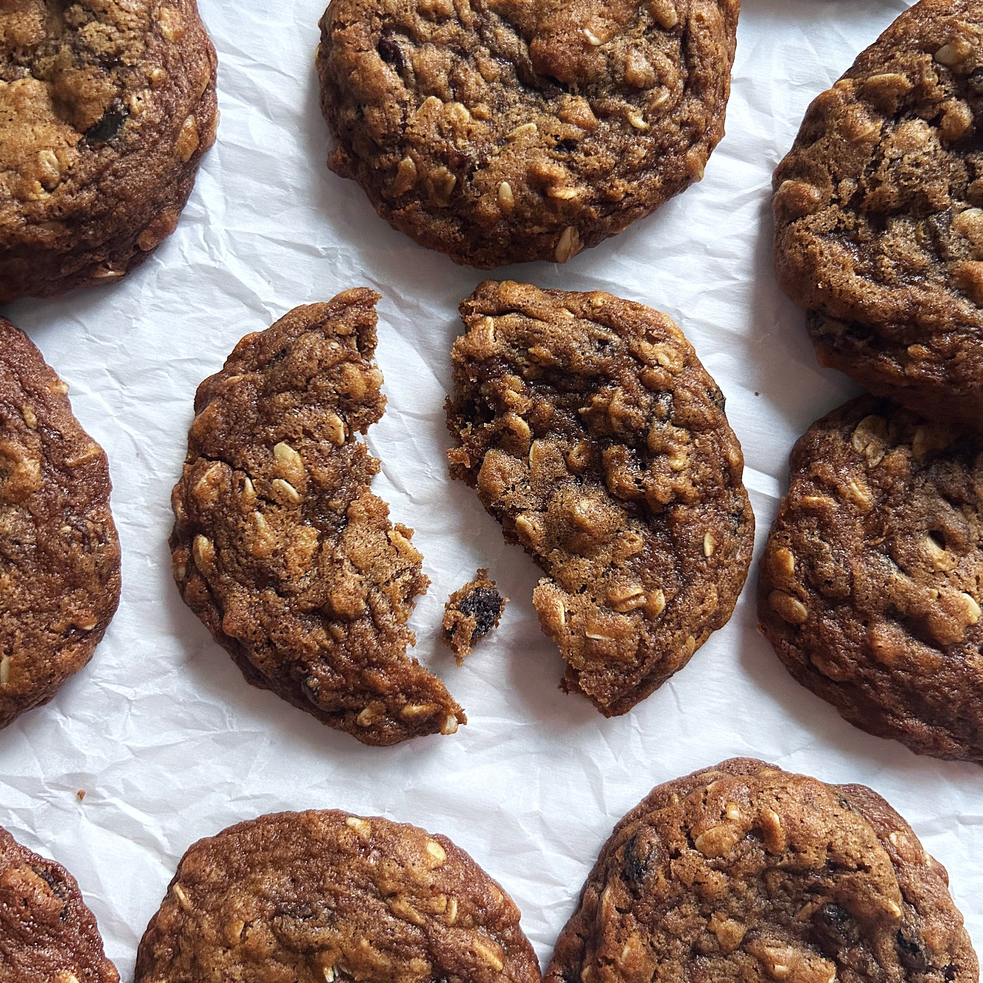 Overhead view of sourdough einkorn oatmeal raisin cookies with visible oats and raisins, one broken on white parchment