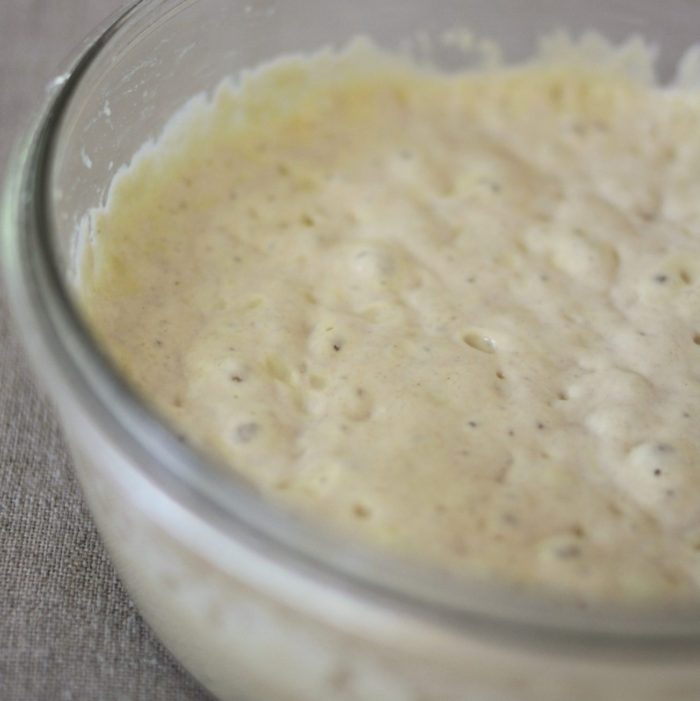 Close-up of bubbly sourdough levain, an einkorn pre-ferment, in a glass bowl showing airy, open texture on a linen surface