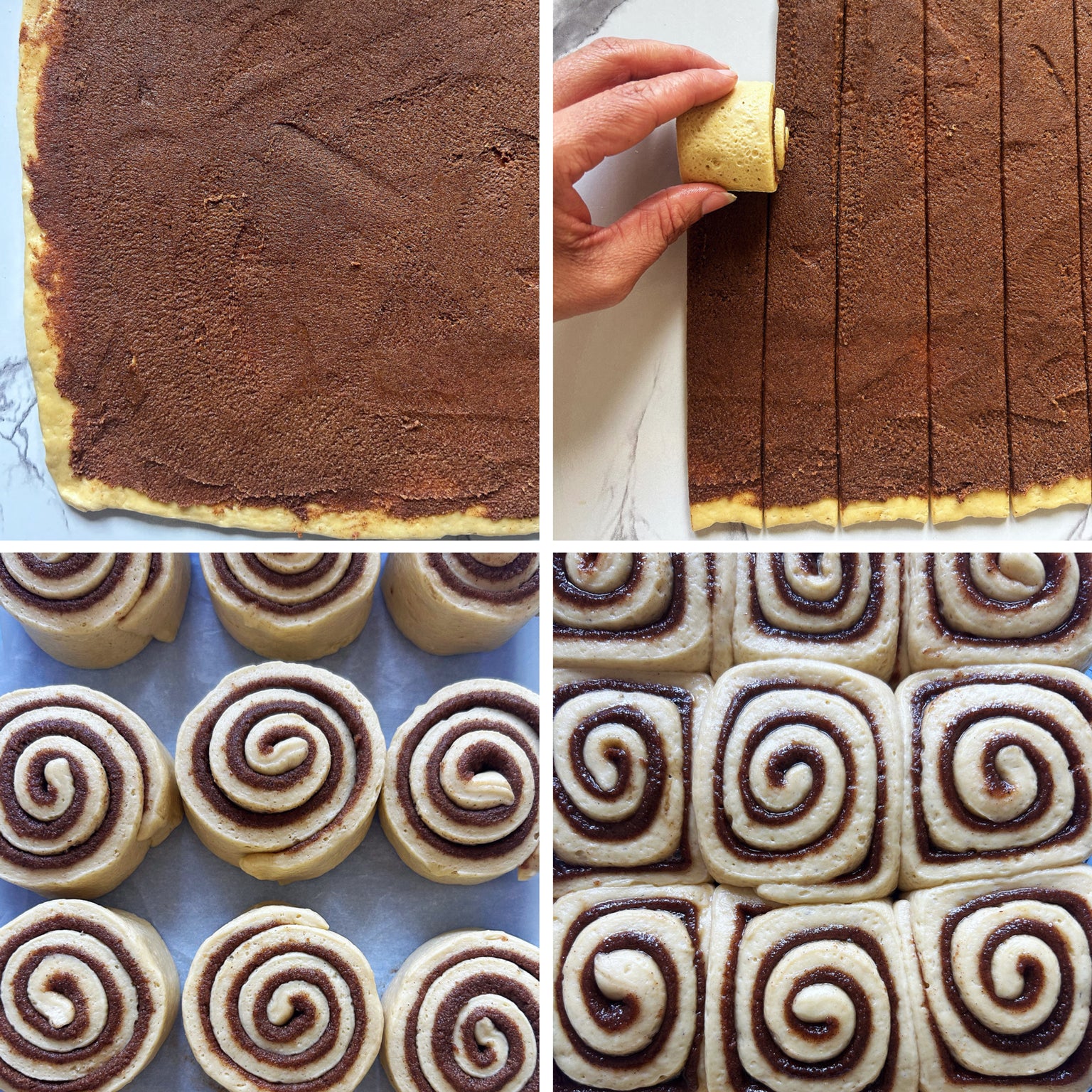Sourdough cinnamon rolls being assembled, dough spread with cinnamon, strips rolled into spirals, unbaked rolls on a tray and packed in a baking pan