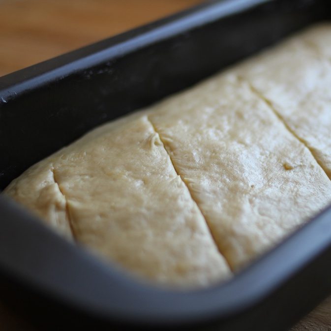 Einkorn sandwich bread dough resting in a buttered loaf pan before the final rise