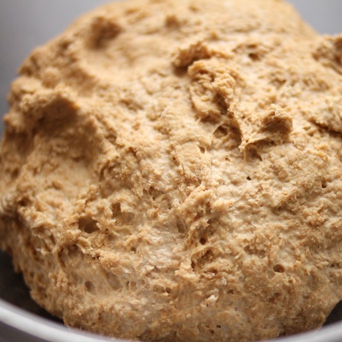 Close-up of whole grain einkorn sourdough dough ball showing coarse texture and small air pockets in a mixing bowl