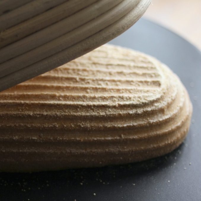 Close-up of einkorn whole-grain sourdough batard in a floured banneton showing ribbed proofing marks on a dark board