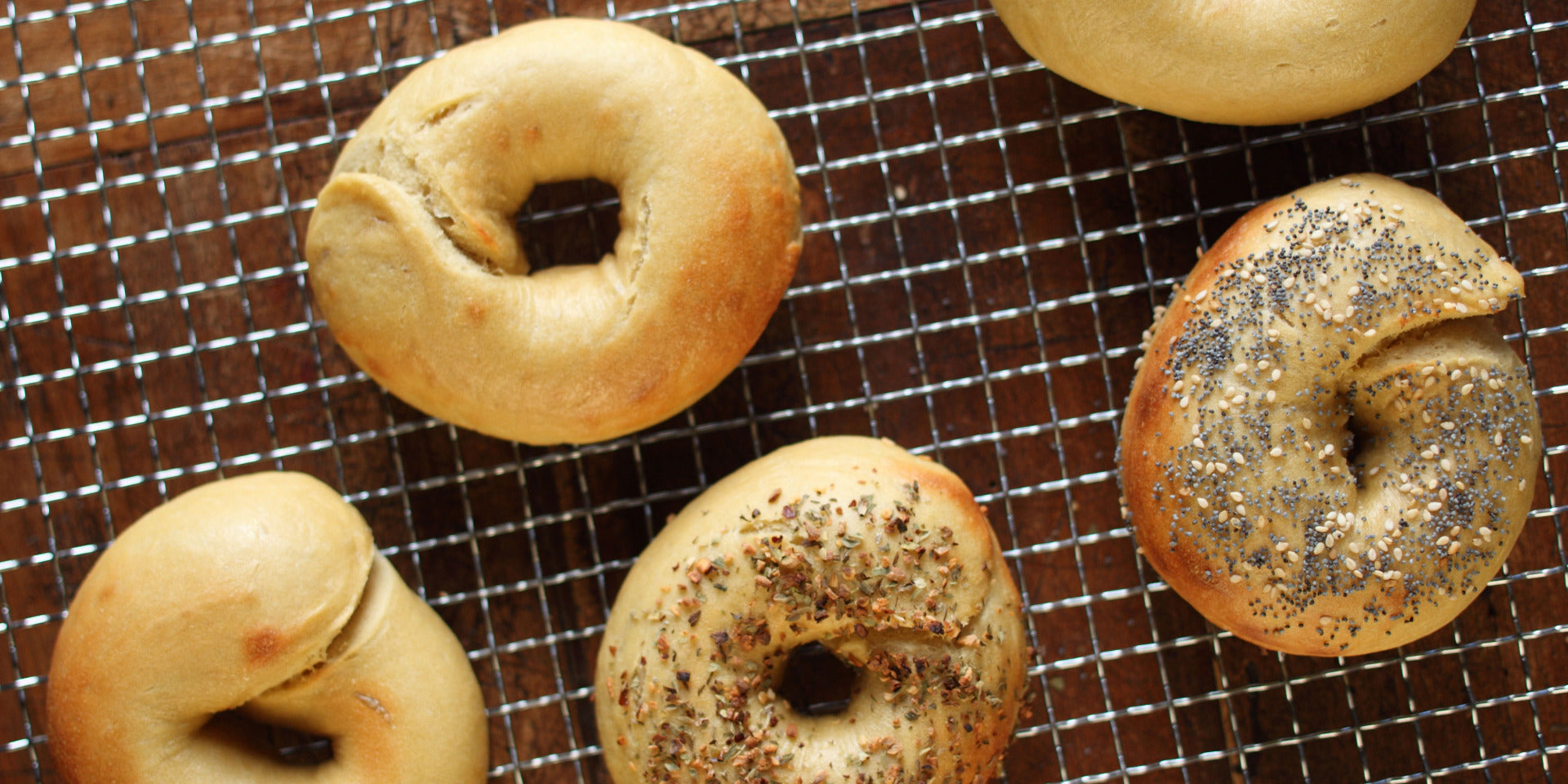 Five einkorn bagels on a wire cooling rack; two topped with sesame and poppy seeds and one sprinkled with herbs.