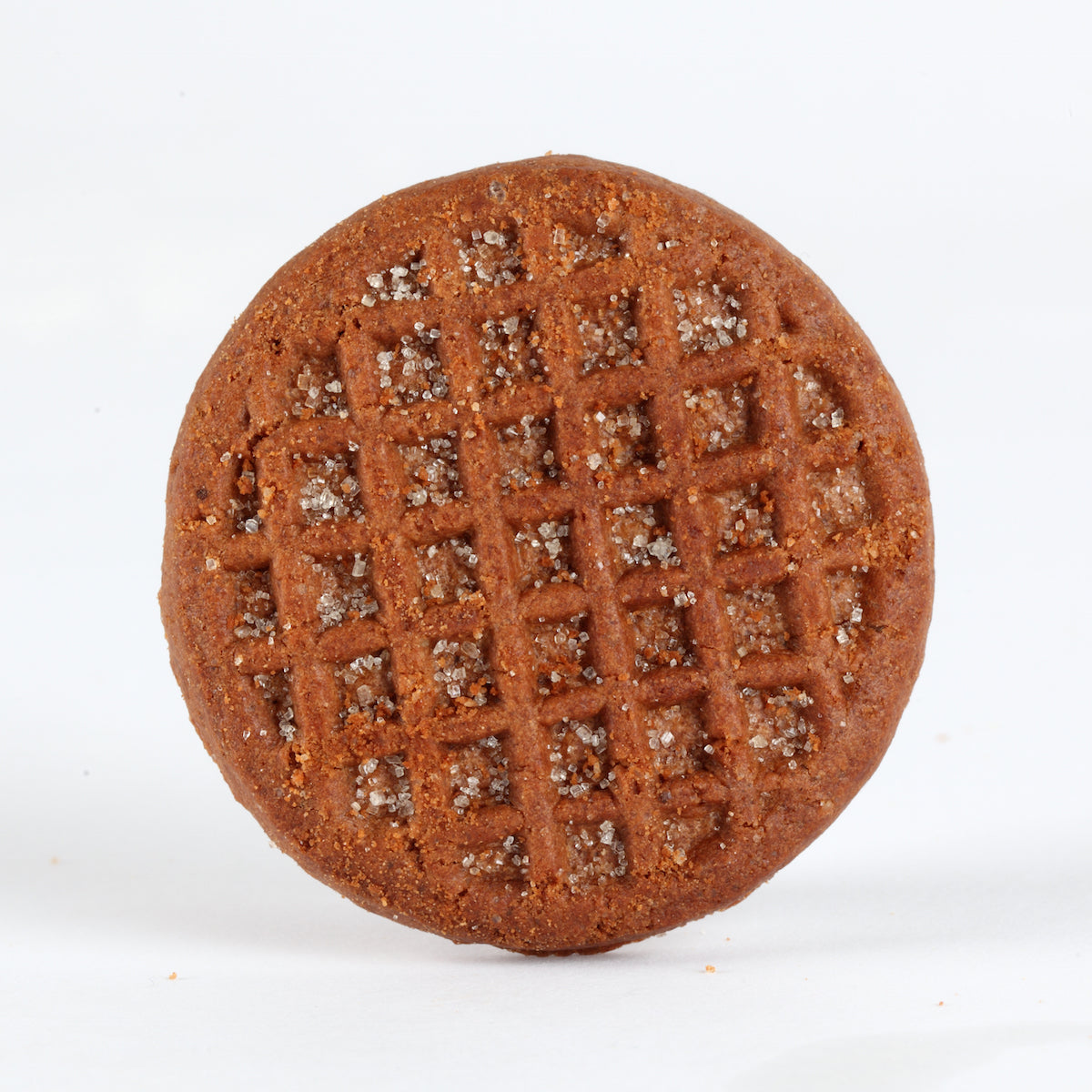 Front view of an Organic Einkorn Crispy Cocoa cookie with waffle grid pattern and cocoa speckles on white background