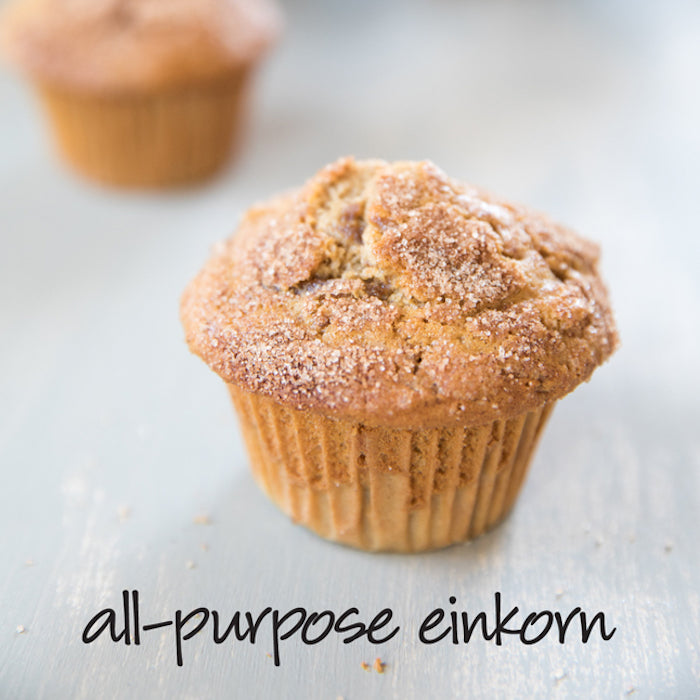 Einkorn spiced apple walnut muffin topped with cinnamon sugar on a pale wooden surface with overlay text all-purpose einkorn