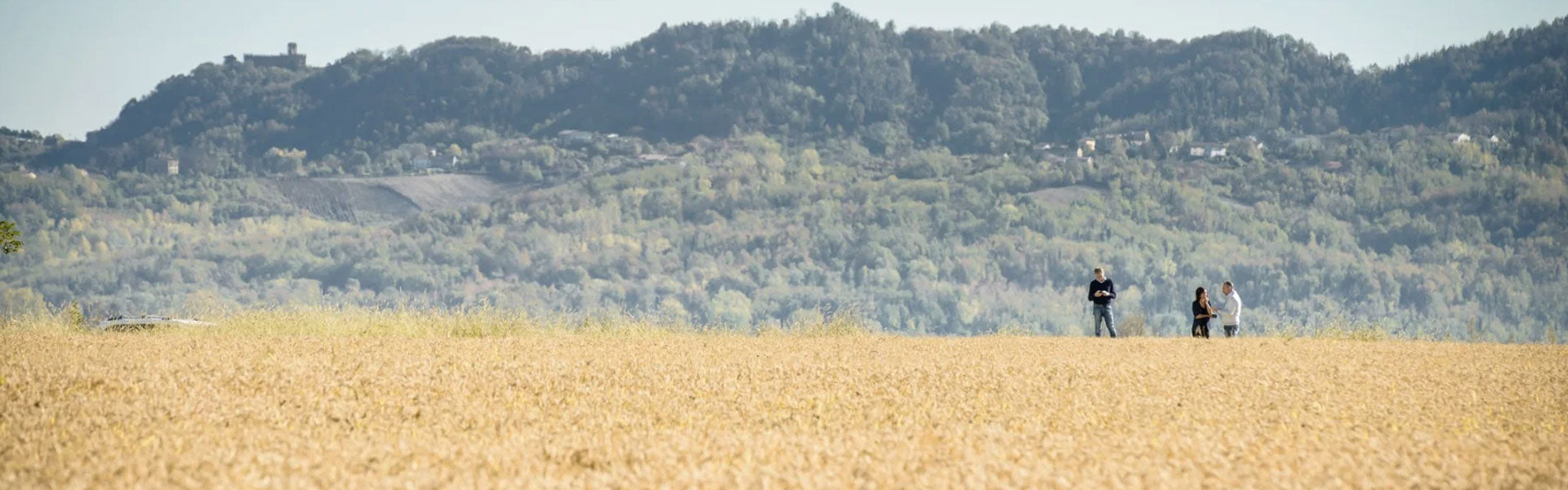 Golden brown rice field with three people near the horizon and forested hills in the background.