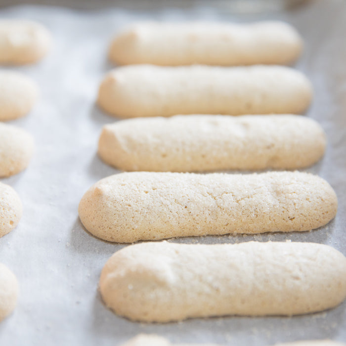 Close-up of baked einkorn ladyfingers lined on parchment paper showcasing light golden, sugar-dusted exterior