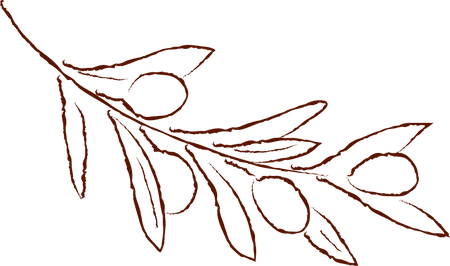 Hand-drawn brown olive branch illustration with leaves and olives, decorative motif.