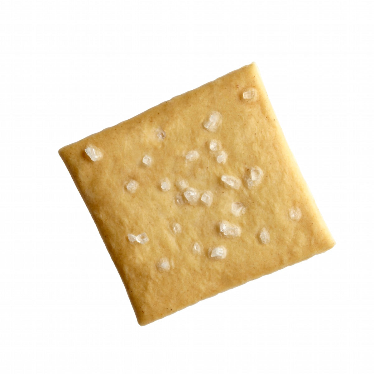 Top down view of a single Organic Einkorn Sourdough Sea Salt cracker showing coarse sea salt crystals on a white background