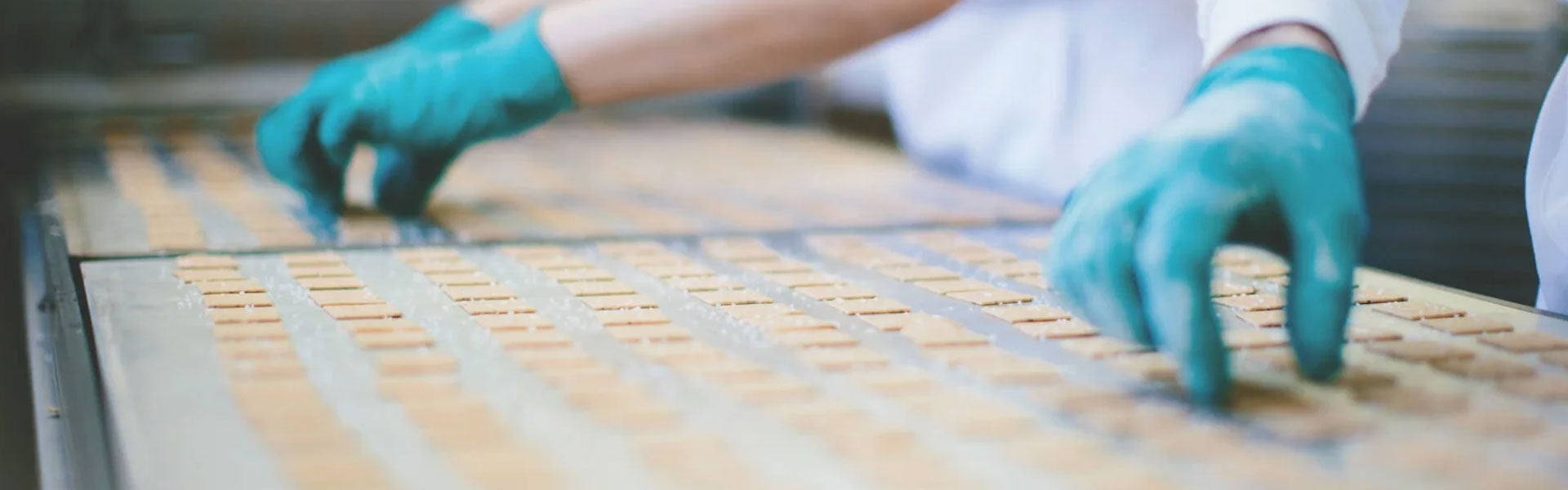 Jovial Foods production line with gloved hands arranging rows of square crackers on a conveyor