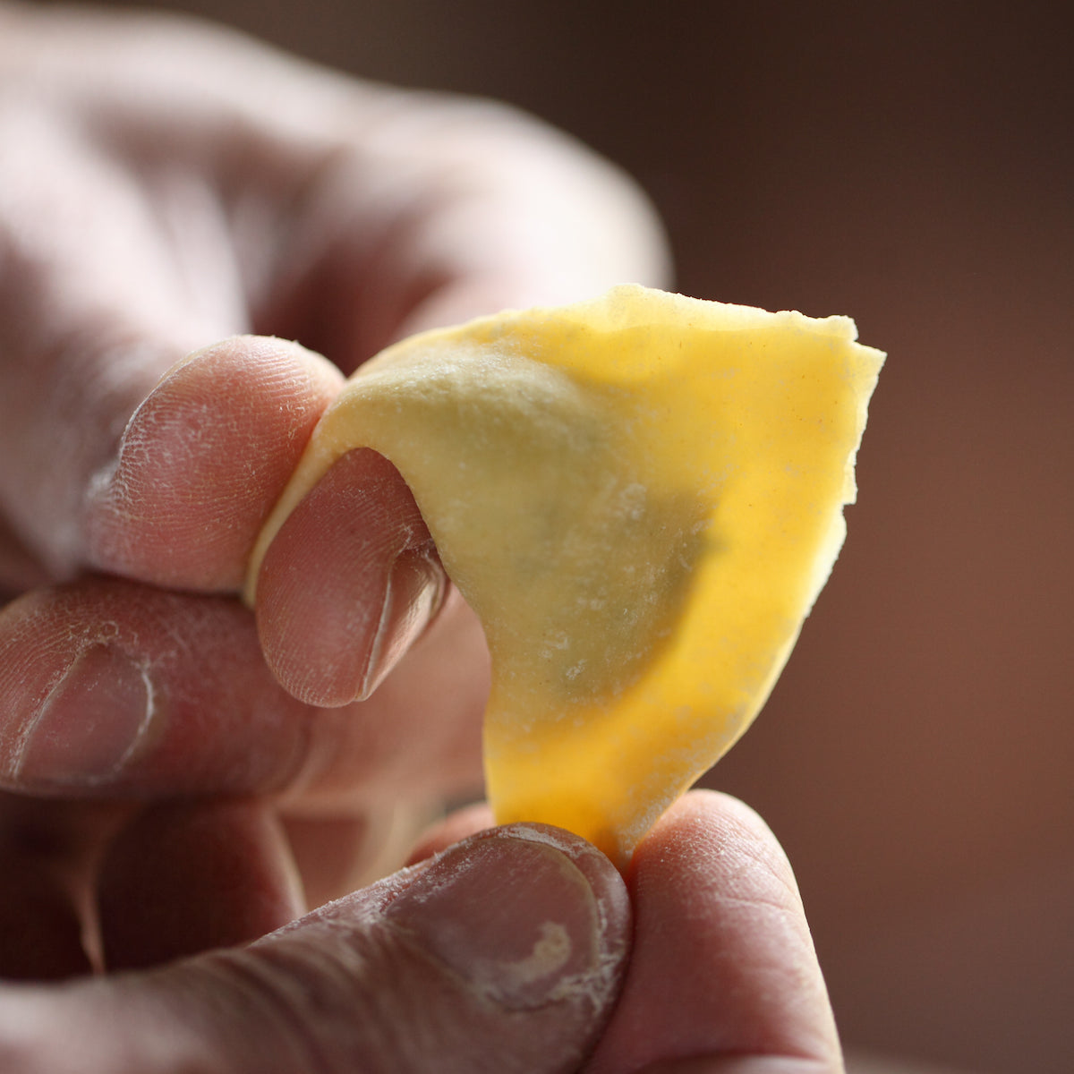 Hand holding a filled piece of einkorn pasta with a blurred kitchen background