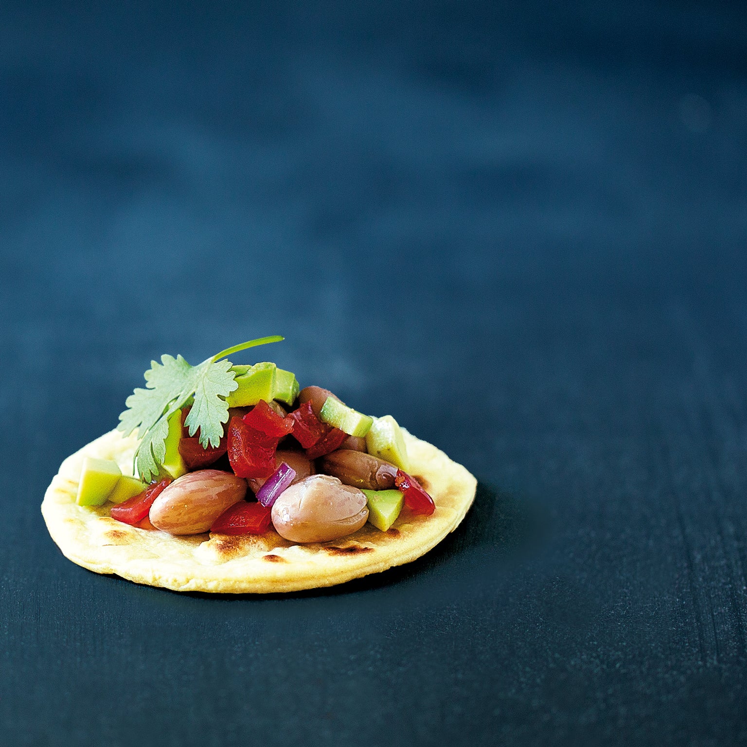 Borlotti beans with diced tomato and cilantro on a small tortilla against a dark blue background