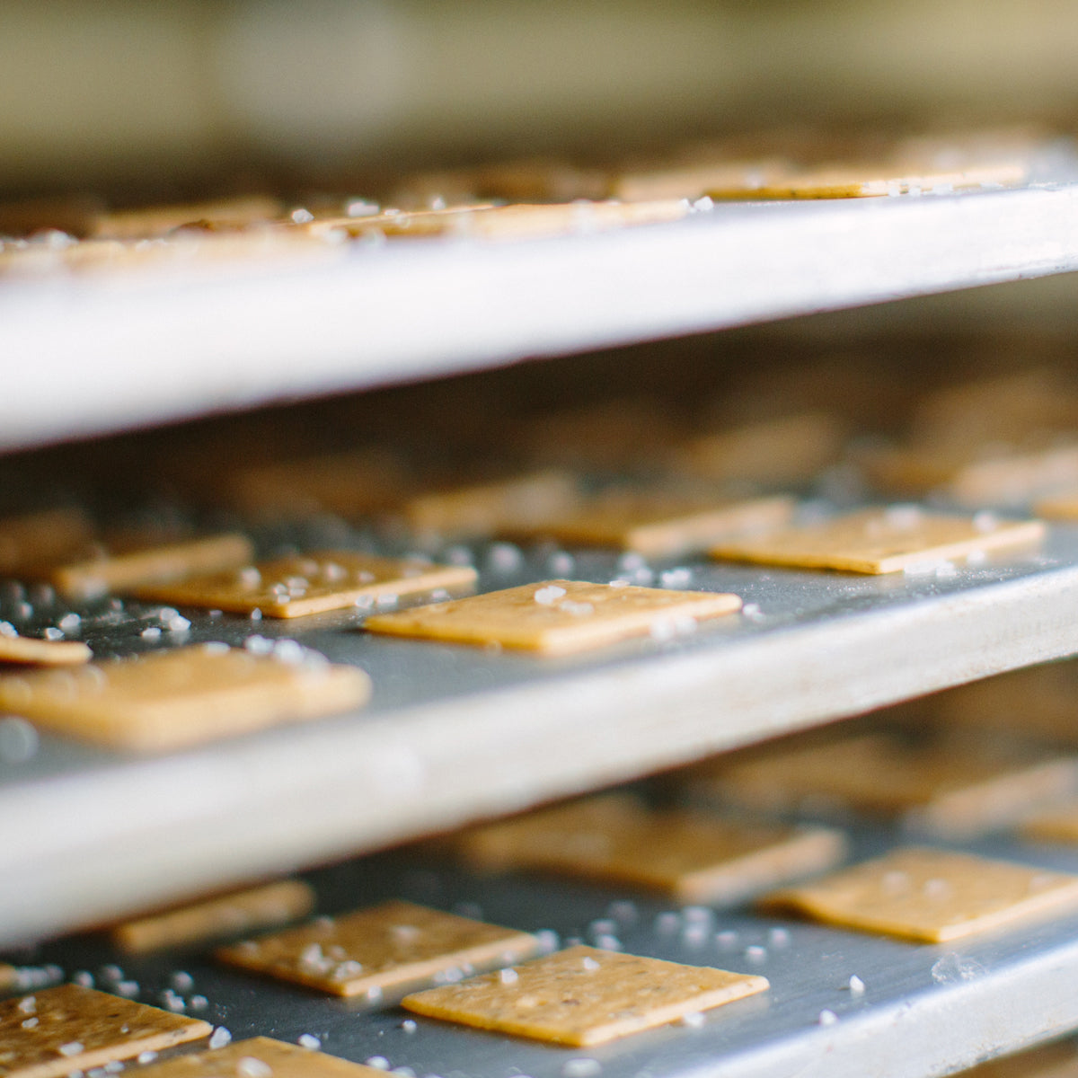 Close-up of Organic Einkorn Sourdough Sea Salt Crackers on cooling rack showing coarse sea salt and golden-brown texture