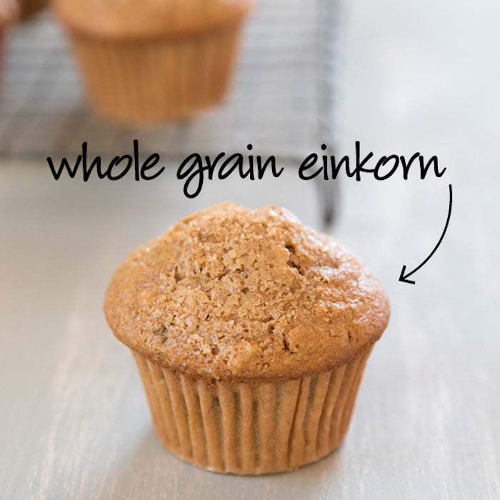 Front view of a spiced apple walnut muffin labeled whole grain einkorn on a light wooden surface