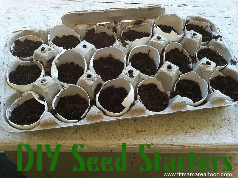 DIYseedstarters